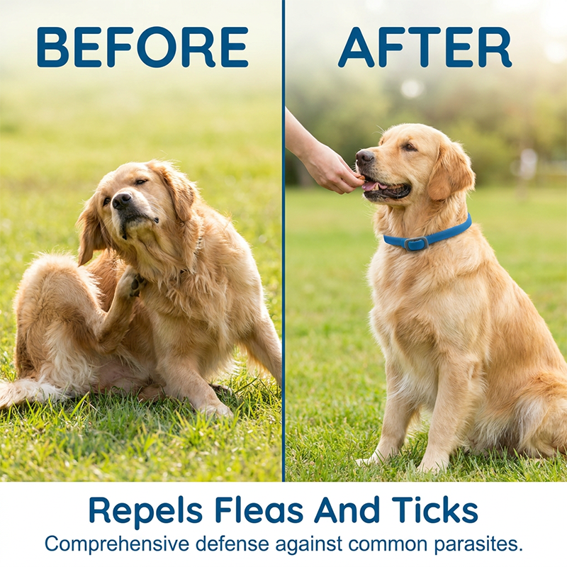 🥳2026 HOT SALE🐾 DOCTIA® Natural Essential Oil Pet Pest Repellent Collar – Long-Lasting Protection for Dogs & Cats